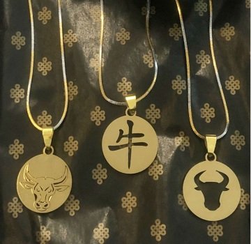 ÖKÜZ FİGÜRLÜ ÇELİK KOLYE