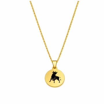 12 BURÇ ÇİFT TARAFLI ÇELİK KOLYE ( 2cm Çap) ÖKÜZ - GOLD RENK
