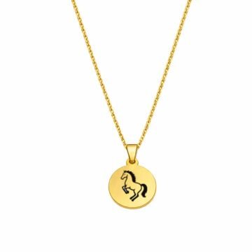 12 BURÇ ÇİFT TARAFLI ÇELİK KOLYE ( 2cm Çap) AT - GOLD RENK