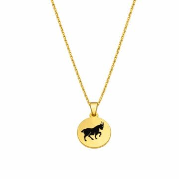 12 BURÇ ÇİFT TARAFLI ÇELİK KOLYE ( 2cm Çap) KEÇİ - GOLD RENK
